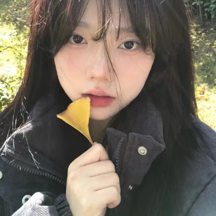 疯狂的麦咭第一季
